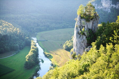 Bildergalerie: 