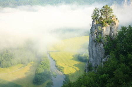 Bildergalerie: 