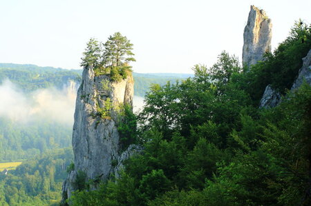 Bildergalerie: 
