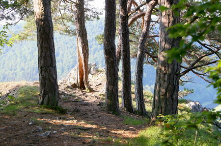 Bildergalerie: 