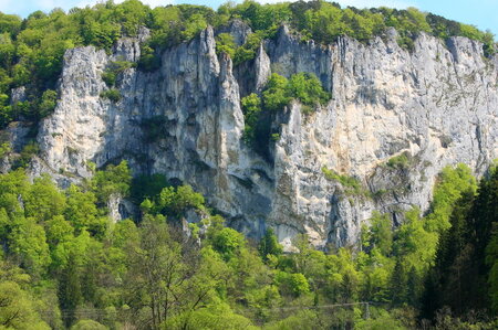 Bildergalerie: 