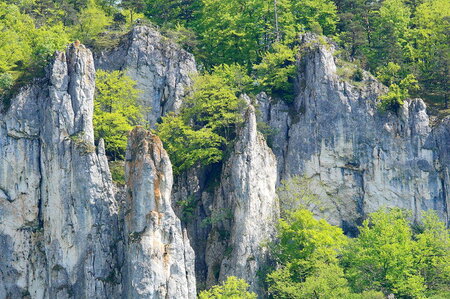 Bildergalerie: 