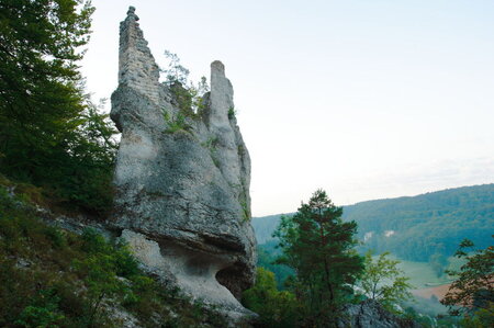 Bildergalerie: 