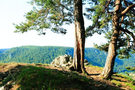 Bildergalerie: 