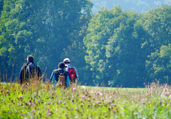 Wandern im Donautal